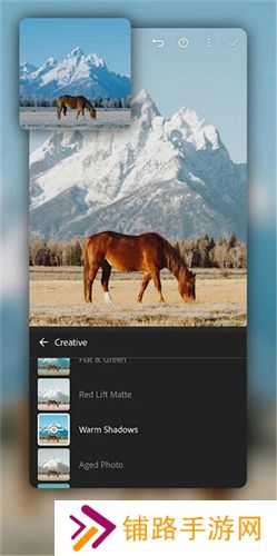 lightroom手机修图软件免费版